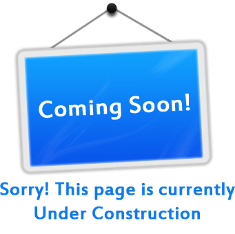 This page is currently under development.